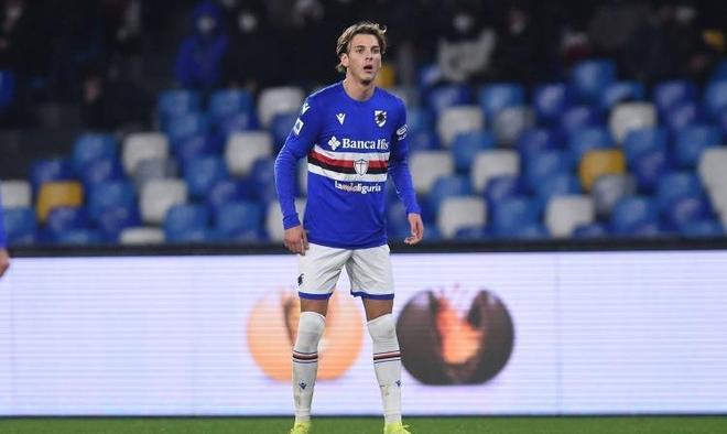 整和补强 整和补强