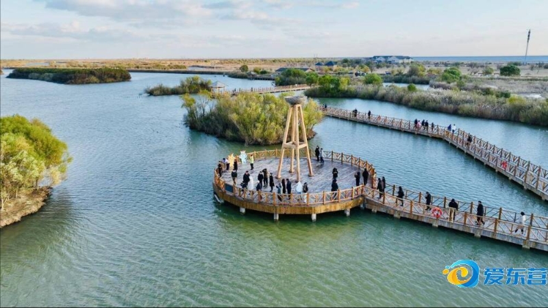 卓越的反应 卓越的反应