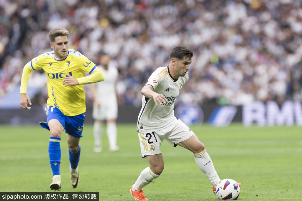 缩小壳形 缩小壳形