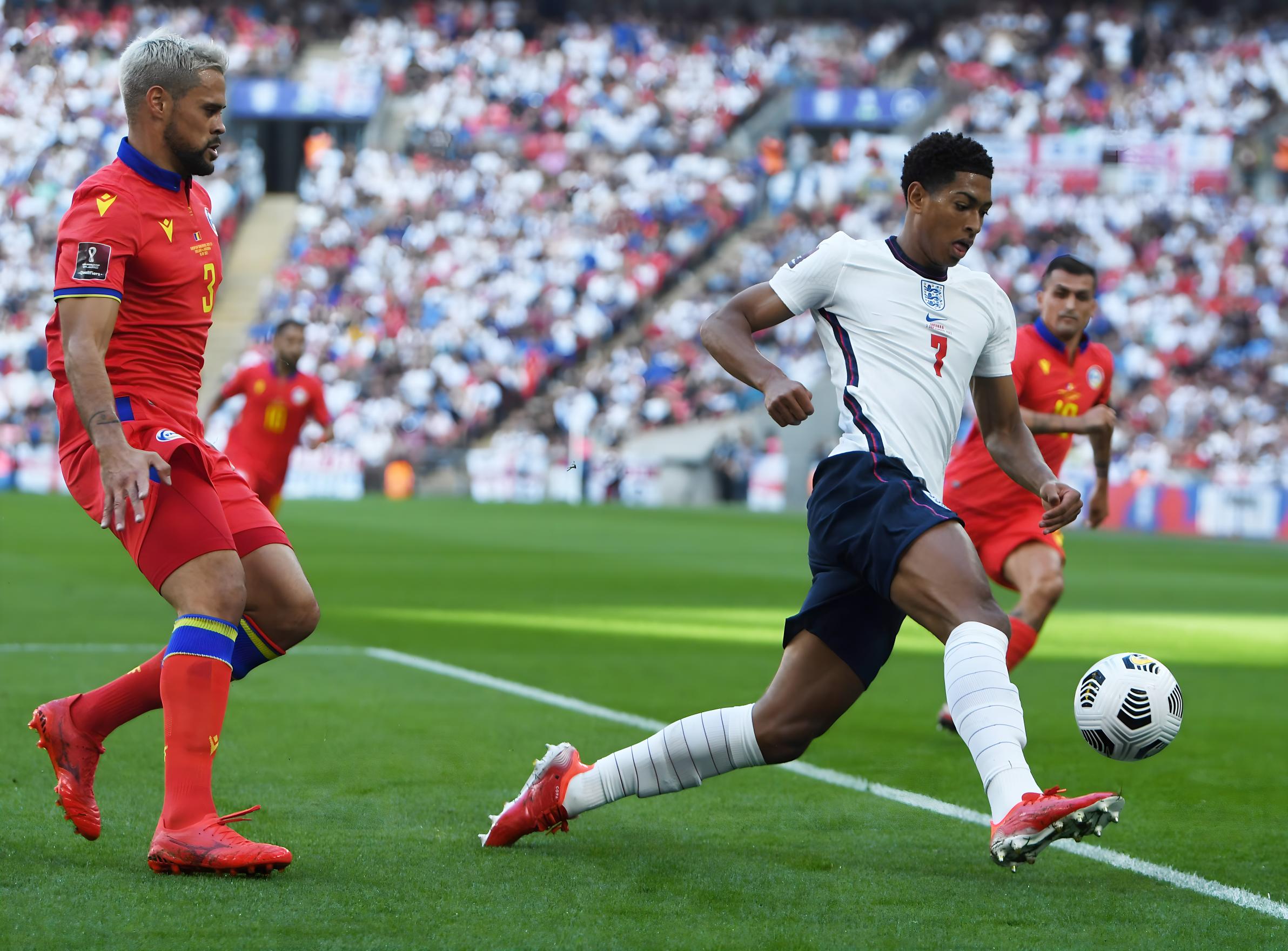 窗口不长 窗口不长